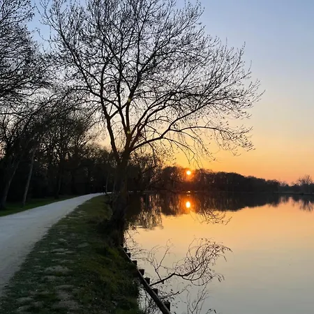 Confortable A Deux Pas De Toulouse טורנפוי